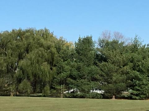 17583 Commercial Point Rd, Circleville, OH 43113 photo 15