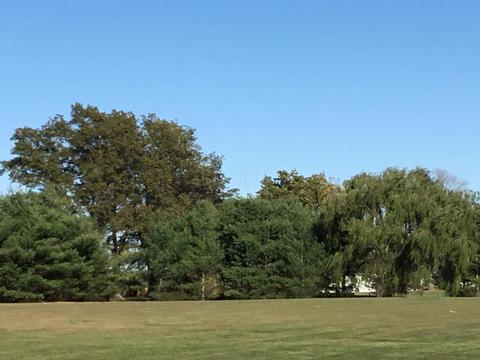 17583 Commercial Point Rd, Circleville, OH 43113 photo 17