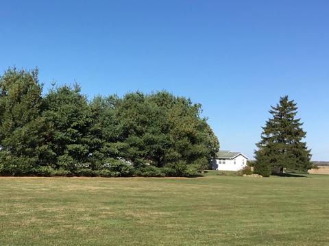 17583 Commercial Point Rd, Circleville, OH 43113 photo 14