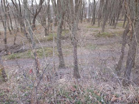 30441 Orr Rd, Circleville, OH 43113 photo 89
