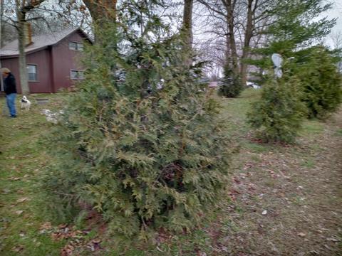 30441 Orr Rd, Circleville, OH 43113 photo 83