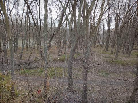 30441 Orr Rd, Circleville, OH 43113 photo 88