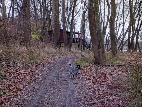 30441 Orr Rd, Circleville, OH 43113 photo 66