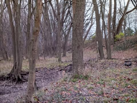 30441 Orr Rd, Circleville, OH 43113 photo 101