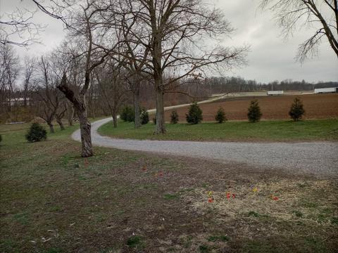 30441 Orr Rd, Circleville, OH 43113 photo 96