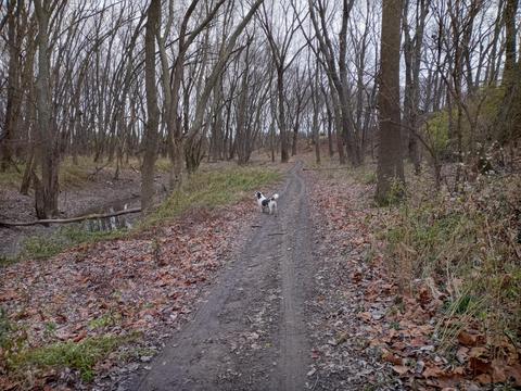 30441 Orr Rd, Circleville, OH 43113 photo 65