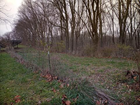 30441 Orr Rd, Circleville, OH 43113 photo 86