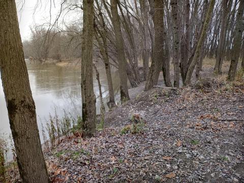 30441 Orr Rd, Circleville, OH 43113 photo 107