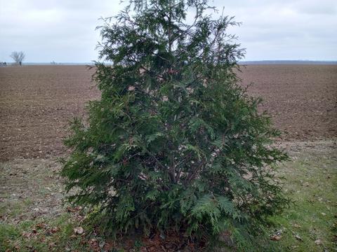 30441 Orr Rd, Circleville, OH 43113 photo 84