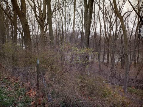 30441 Orr Rd, Circleville, OH 43113 photo 90