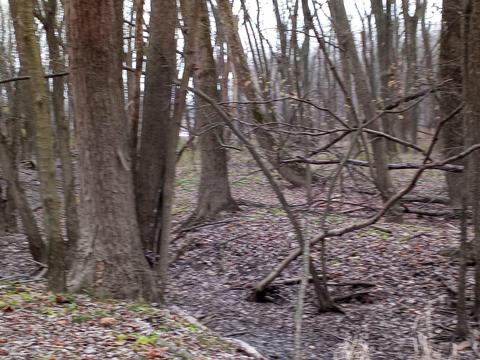 30441 Orr Rd, Circleville, OH 43113 photo 102