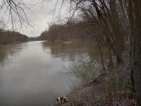 30441 Orr Rd, Circleville, OH 43113 photo 106
