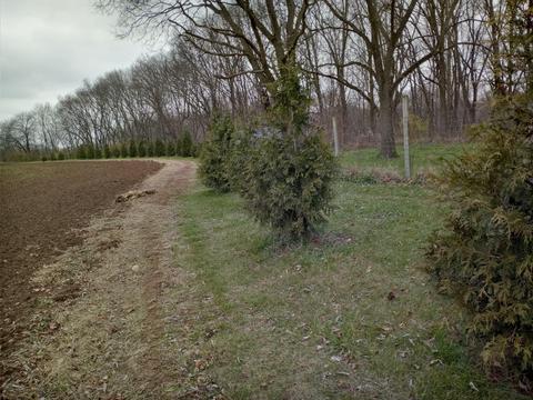 30441 Orr Rd, Circleville, OH 43113 photo 81