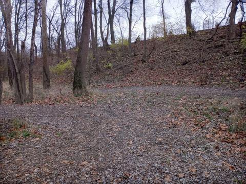 30441 Orr Rd, Circleville, OH 43113 photo 108