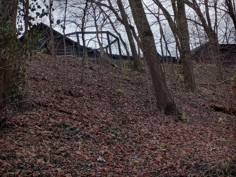 30441 Orr Rd, Circleville, OH 43113 photo 100