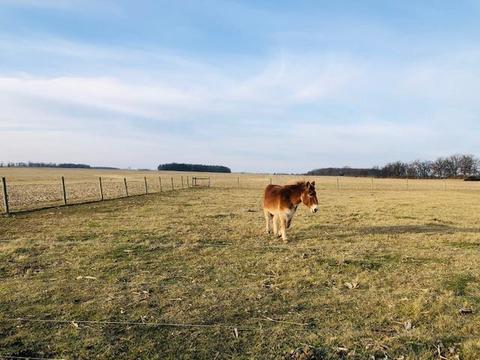 4470 Anderson Rd, Circleville, OH 43113 photo 21