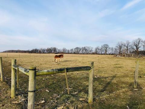 4470 Anderson Rd, Circleville, OH 43113 photo 18