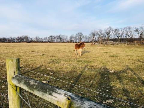 4470 Anderson Rd, Circleville, OH 43113 photo 20
