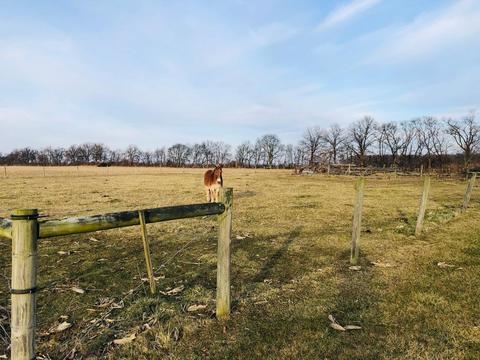 4470 Anderson Rd, Circleville, OH 43113 photo 19