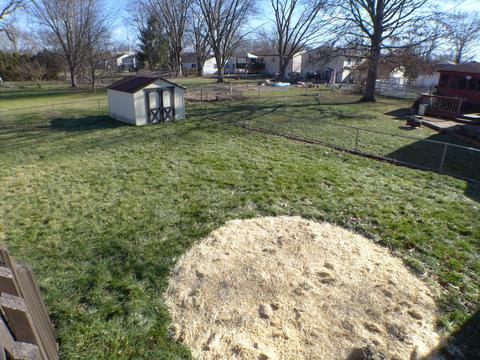 4792 Big Pine Dr, Columbus, OH 43230 photo 30
