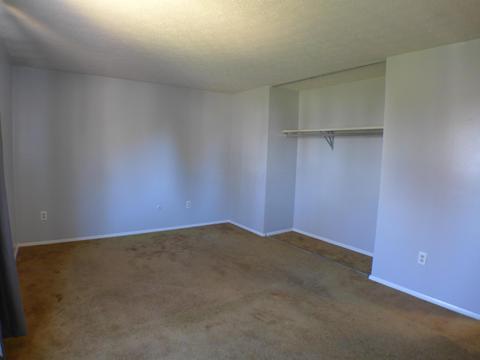 4792 Big Pine Dr, Columbus, OH 43230 photo 14