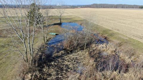 26357 Ludwig Dresback Rd, Circleville, OH 43113 photo 6