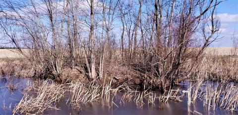 26357 Ludwig Dresback Rd, Circleville, OH 43113 photo 19