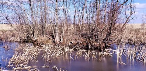 26357 Ludwig Dresback Rd, Circleville, OH 43113 photo 20