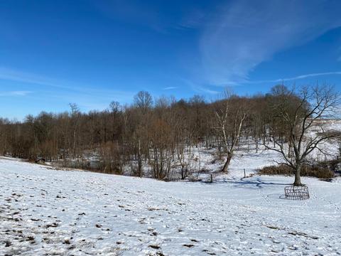 5680 Saunders Rd, Logan, OH 43138 photo 30
