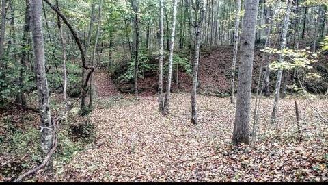 5680 Saunders Rd, Logan, OH 43138 photo 35