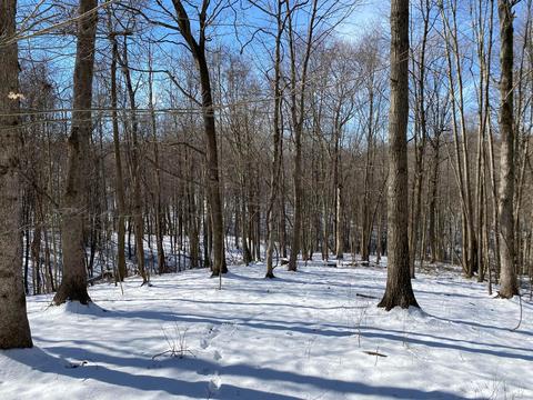 5680 Saunders Rd, Logan, OH 43138 photo 24