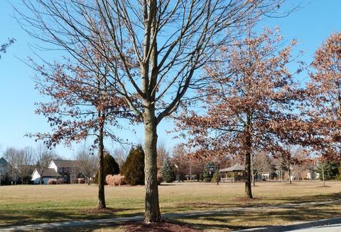 7674 Kestrel Way E, Dublin, OH 43017 photo 51