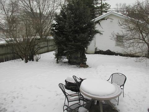 317 E Northern Ave, Springfield, OH 45503 photo 26