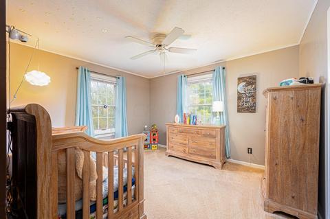 800 Doherty Rd, Galloway, OH 43119 photo 58