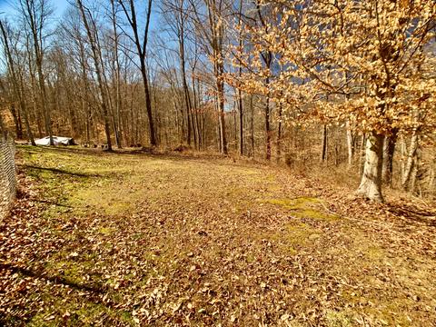 38845 Horner Hill Rd, Pomeroy, OH 45769 photo 48