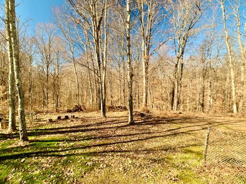 38845 Horner Hill Rd, Pomeroy, OH 45769 photo 45