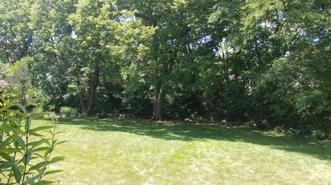 4946 Donegal Cliffs Dr, Dublin, OH 43017 photo 41
