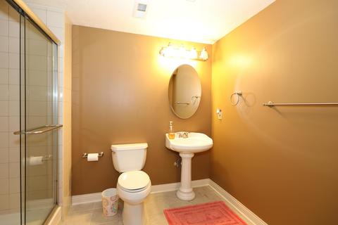 5602 Tynecastle Loop, Dublin, OH 43016 photo 40