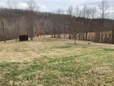 10461 Center Rd, Blue Rock, OH 43720 photo 10