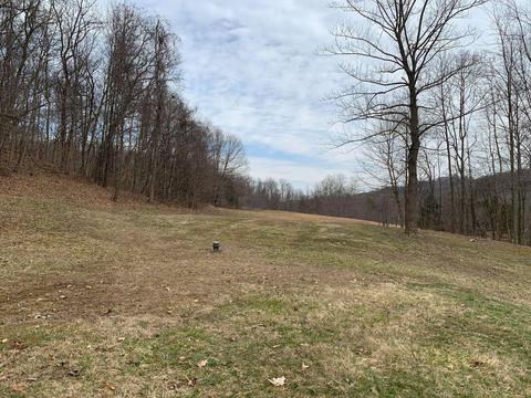10461 Center Rd, Blue Rock, OH 43720 photo 13