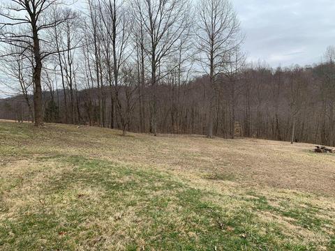 10461 Center Rd, Blue Rock, OH 43720 photo 12