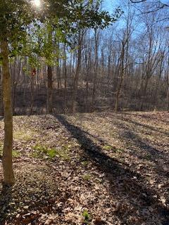 840 Mount Zion Rd, Jackson, OH 45640 photo 20