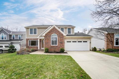 2415 Wyncourtney Ct, Powell, OH 43065 photo 3