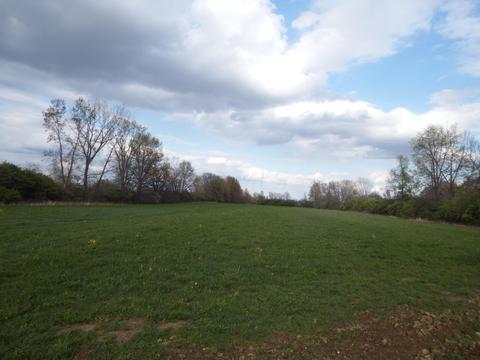 9602 Borror Rd, Orient, OH 43146 photo 30