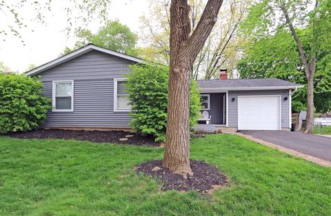 6556 Devonhill Rd, Columbus, OH 43229 photo 3