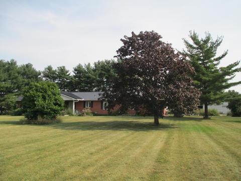 514 E Marion St, Mount Victory, OH 43340 photo 4