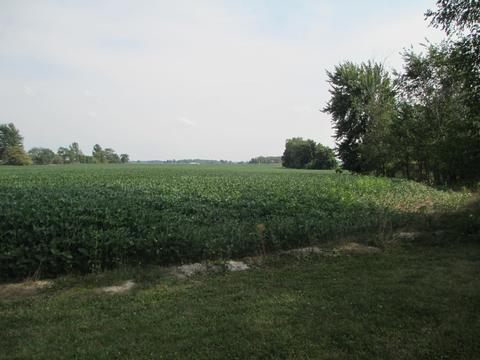 514 E Marion St, Mount Victory, OH 43340 photo 6