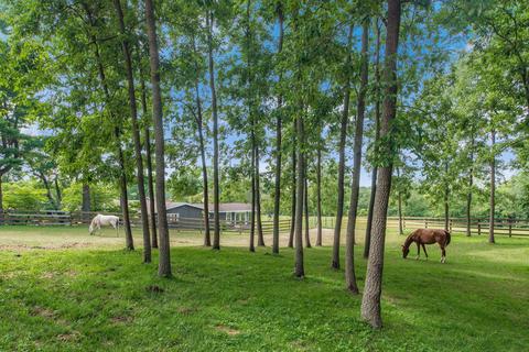 470 Moorefield Rd, Springfield, OH 45502 photo 31