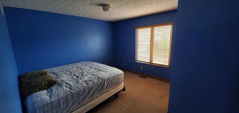 205 Lantern Ln, Plain City, OH 43064 photo 35