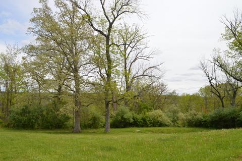27426 Jackson Rd, Circleville, OH 43113 photo 89